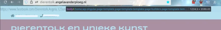 Schermafdruk van 2025-06-16 18-42-10.webp