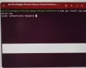 Commando in Terminal.jpg Commando in Terminal.jpg