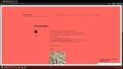 wordpresserro.webp wordpresserro.webp