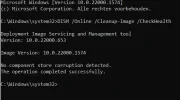 Fs Cap 0384.webp