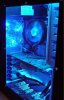 DSC00695.JPG