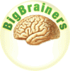 BigBrainers LOGO FINAL transp 4.gif
