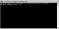 Hallo bat.webp
