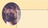 bg_test.jpg