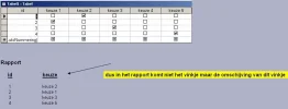 rapport keuzevinkjes.webp