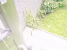 M5110029.webp