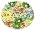 Foto 2.webp