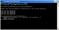 ping1.webp