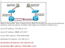 Naamloos5.webp