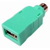 USB-PS 2.jpg