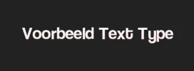 voorbeeldtypetext.webp
