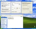 screen netwerk.webp