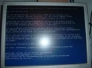 DSCF1946.webp