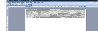 landmachtfout.webp