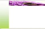 frames_cut.webp