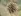 knopvlak.webp