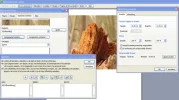 plaatje.webp