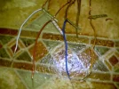 DSC00004.webp