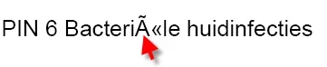 pin.webp