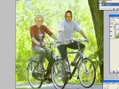 diktevree.webp