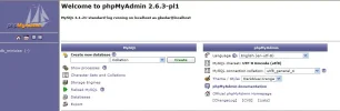 phpmyadmin.webp