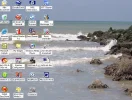 Naamloos.webp