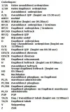 test.webp