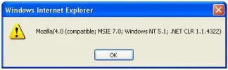 javascript_melding.webp