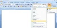 word 2007 instelling.webp