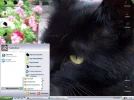 Image4.webp