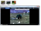 175.16 175.19.webp