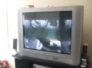 DSCF1831.webp