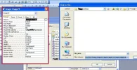 access bug.webp