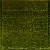 index04.webp