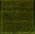 index05.webp