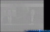 Knipsel.GIF