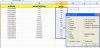 excel pro 04.jpg