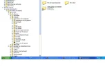 1.webp
