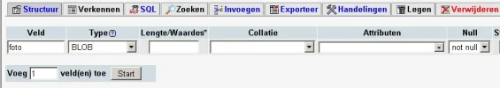 plaatje.webp