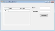 Voorbeeld DataGridView.webp