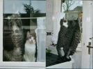 fam. foto's 060.webp