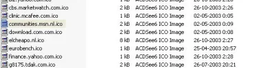 acdsee.webp