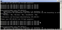 ping.webp