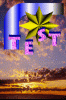 test1.gif