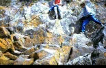4-29-2009_003.webp