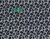 Cheetah_zwart_wit.jpg
