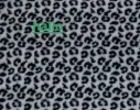 Cheetah_zwart_wit.webp