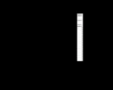 nullen.webp