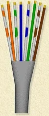 cat5_colors.webp