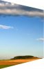 CEsite5Glooiend-landschap.jpg